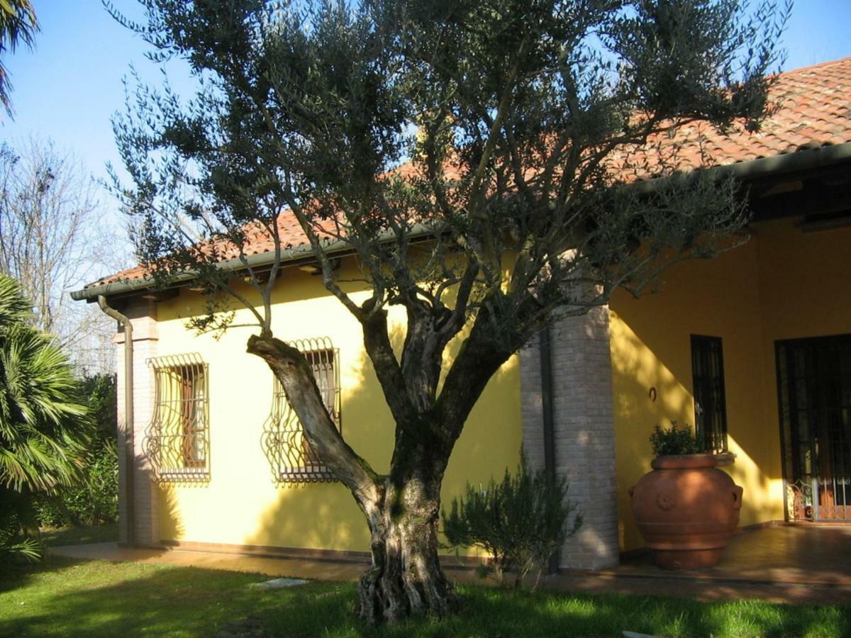 B&B La Vigna Di Federico Rubano Buitenkant foto